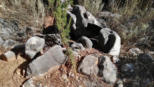 Stones with moss in the mountains of Andalucia