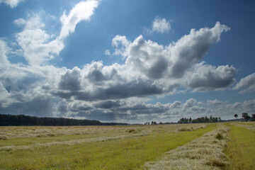 Bright blue sky and clouds of different shapes and colors. Downstairs is a field after harvesting...