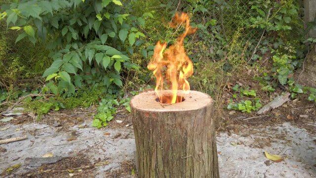 Open fire of Canadian candle, also known Swedish fire torch. Warmth in backyard, preparing for fire cooking. Natural heat source.