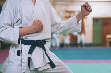 Kids training on karate-do.  The karate fighter prepares to strike with his hand. Photo without faces. © Uladzimir