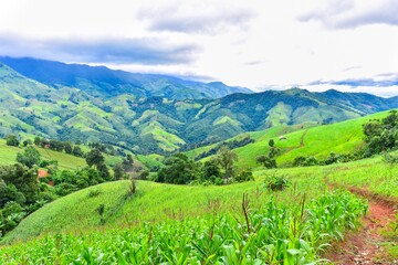 Obraz premium Corn Farm and Mountain Landscape in Nan, Thailand