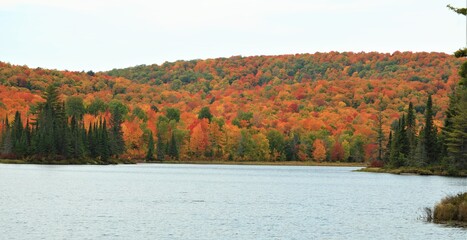autumn landscape with lake and trees