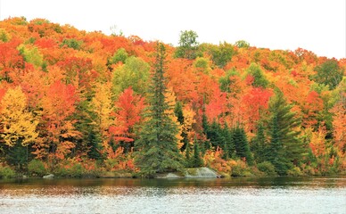 autumn in the mountains