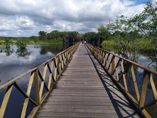 Fototapeta premium Bridge over the Timeantube River; entrance to the park Klaus Peter in the Praia do Forte. Mata de São João; Bahia; Brazil.
