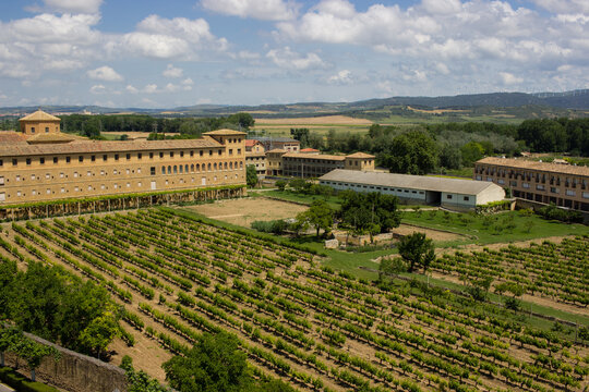castillo de olite y vino
