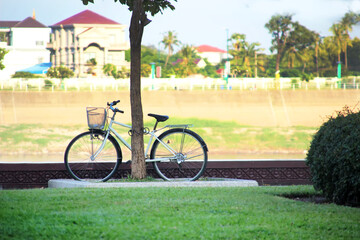The road bike is strapped to a tree