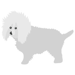 

Cartoon dog drawing bichon frise
