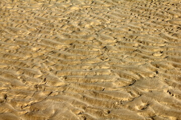 beach sand texture with water wave formations, no people