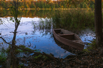 A boat moored to the shore of the lake among thickets and autumn leaves.