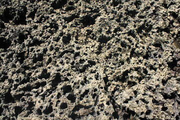 texture of a porous stone (pierced by water) on the banks of a river