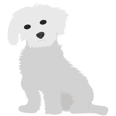 

Cartoon dog drawing bichon frise
