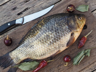 River fish crucian carp. Large fresh golden carp on a kitchen board ready to be scaled.