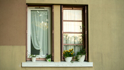 Window edge of a house and its flowering plants	