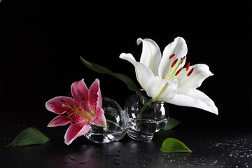 white and pink lily flowers in a glass bowl on a black background