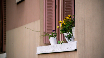 Fototapeta na wymiar Window edge of a house and its flowering plants 