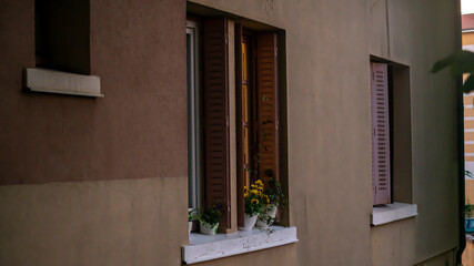 Window edge of a house and its flowering plants	