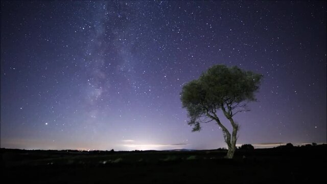 Time lapse of stars and milk way galaxy over lone fairy tree from beaghmore stone circles in ireland