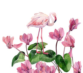 Watercolor pink flamingo and pink cyclamen on white background