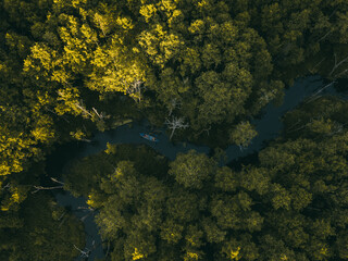 Beautiful sun rays over the forest and the river. Kayak on the river