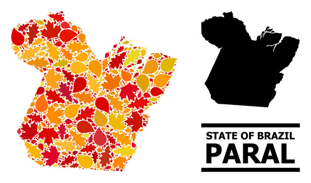 Mosaic autumn leaves and solid map of Paral State. Vector map of Paral State is organized of random autumn maple and oak leaves. Abstract territorial plan in bright gold, red,