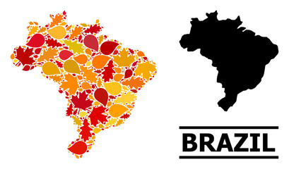 Mosaic autumn leaves and solid map of Brazil. Vector map of Brazil is shaped from randomized autumn maple and oak leaves. Abstract territory scheme in bright gold, red, brown colors for map of Brazil.