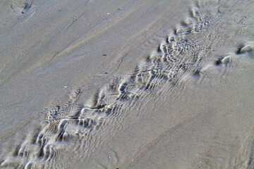 Stream of water running over te beach towards the sea at ebb tide