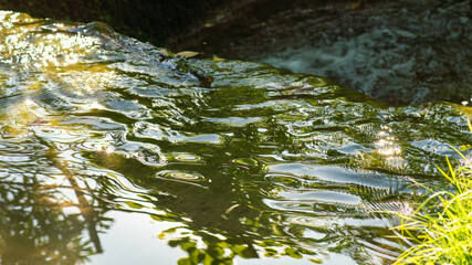 Reflections and movements on the water, close-up in a stream	