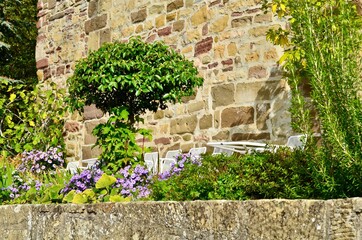 Fototapeta na wymiar alte steinmauer mit bäumen und Blumen bepflanzt 
