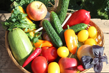 fresh vegetables in a basket stand in the garden