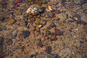 stone on the beach