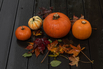 pumpkins on wet decking ,helloween party preparation