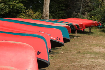 canoes