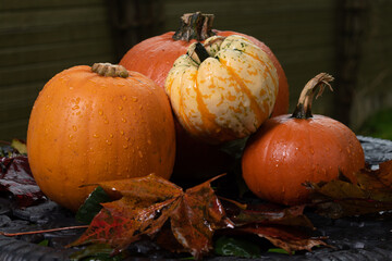 pumpkins on garden table ,helloween party preparation
