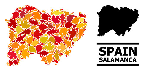 Mosaic autumn leaves and solid map of Salamanca Province. Vector map of Salamanca Province is constructed of randomized autumn maple and oak leaves. Abstract territory scheme in bright gold, red,