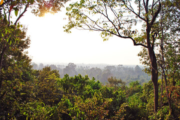 Evening sunlight over the jungle of Angkor