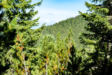 view over the wild Retezat National Park, Romania