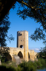 Fototapeta premium Medieval bridge of Fr?as over the Ebro river, Burgos