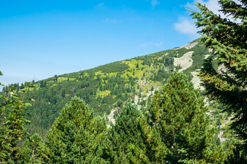 view over the wild Retezat National Park, Romania