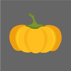 Painting pumpkin on grey. Botanic yellow art design elements stock vector illustration for web for inc, for print