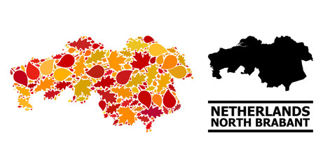 Mosaic autumn leaves and usual map of North Brabant Province. Vector map of North Brabant Province is constructed with scattered autumn maple and oak leaves. Abstract territory plan in bright gold,