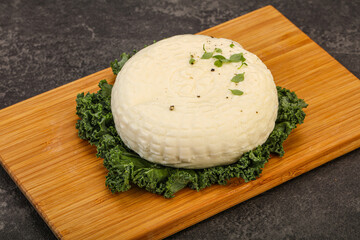 Caucasian suluguni round cheese piece