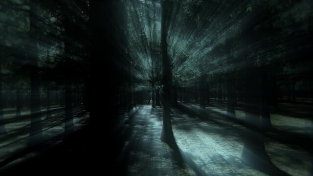 3D Light Rays of the Forest Landscape Loop Motion Background