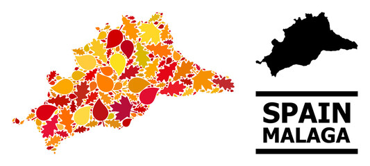 Obraz premium Mosaic autumn leaves and solid map of Malaga Province. Vector map of Malaga Province is constructed from randomized autumn maple and oak leaves. Abstract territory scheme in bright gold, red,