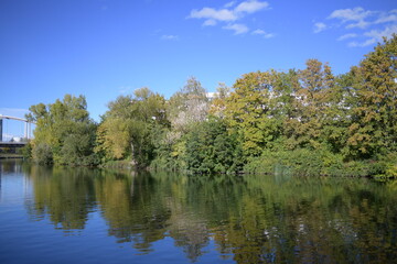 Reflexion von Flussbäumen im Wasser und im blauen Himmel