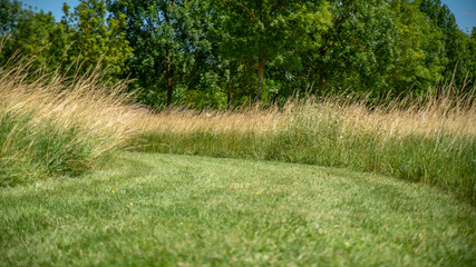 
Close-up on a path traced in the lawn in the middle of green nature