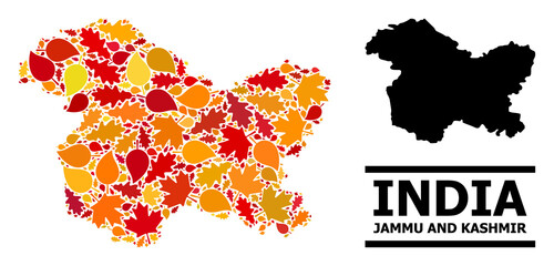 Mosaic autumn leaves and usual map of Jammu and Kashmir State. Vector map of Jammu and Kashmir State is organized of scattered autumn maple and oak leaves. Abstract territorial scheme in bright gold,