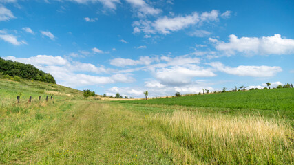 
Beautiful sunny spring landscape, in the golden fields with big cloudy blue sky