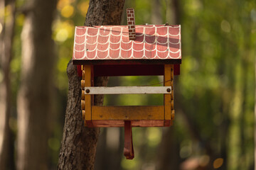 bird house feeder in the forest