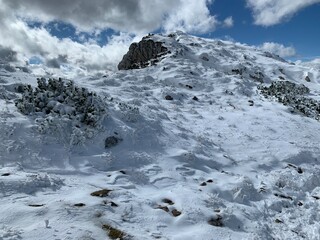 snow covered mountains