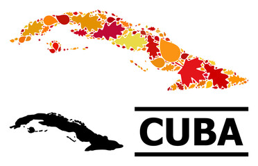 Mosaic autumn leaves and solid map of Cuba. Vector map of Cuba is created of random autumn maple and oak leaves. Abstract territorial plan in bright gold, red, brown colors for map of Cuba.